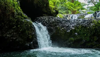 Apia