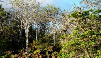 San Cristóbal, Galapagos à San Cristóbal, Galapagos