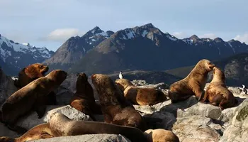 Route De Darwin Depuis Ushuaia