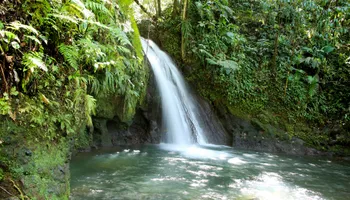 Port basse-terre guadeloupe