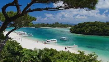 Ishigaki