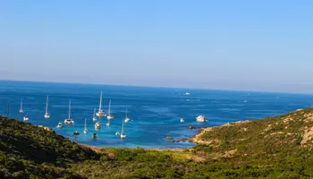 Calvi