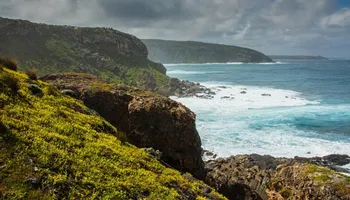 Ile Kangourou