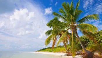 États-Unis, Îles Vierges des États-Unis, Saint-Martin, Guadeloupe, Îles Vierges britanniques