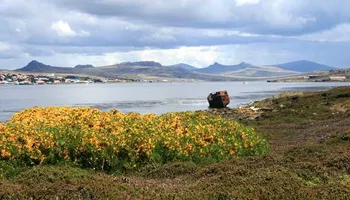 Argentine, Chili, Antarctique, Îles Malouines, Uruguay
