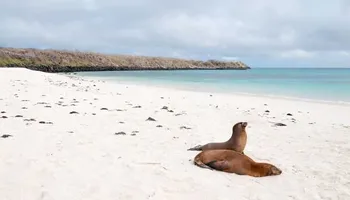 Îles Galapagos - Sur les traces de Darwin et aventure au Machu Picchu