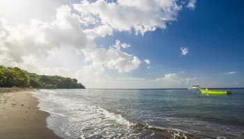Joyaux des Caraïbes