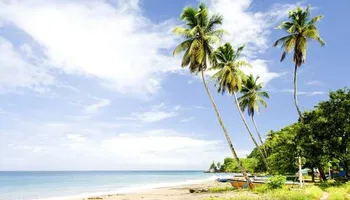 États-Unis, Saint-Martin, Sainte-Lucie, Barbade, Guadeloupe