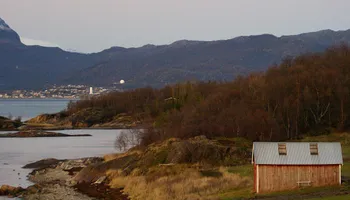 Narvik