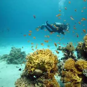 Sharm el sheikh