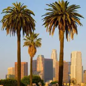 Los angeles, États-unis