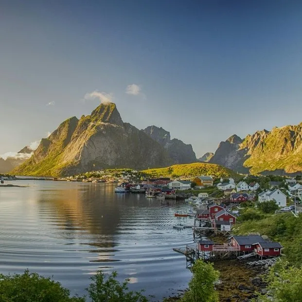 Reine