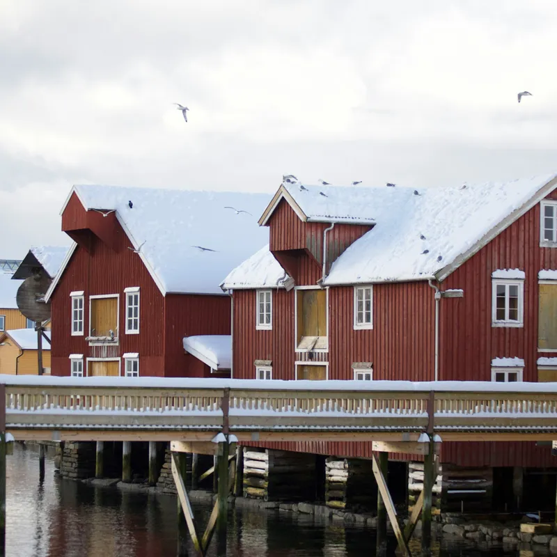 Rorvik