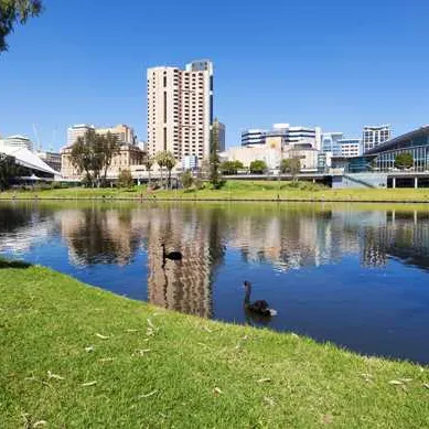 Adelaide                      