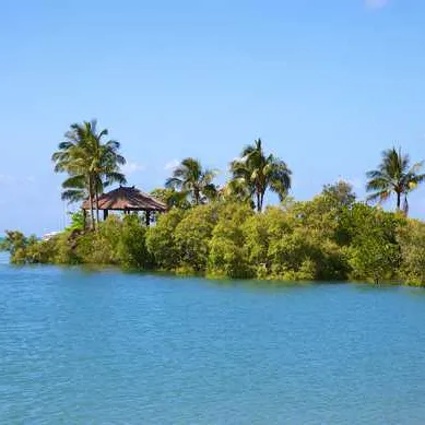 Airlie beach                  