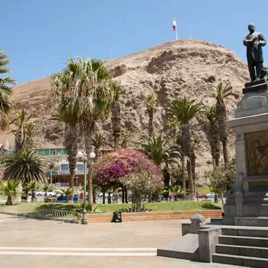 Arica (chili)