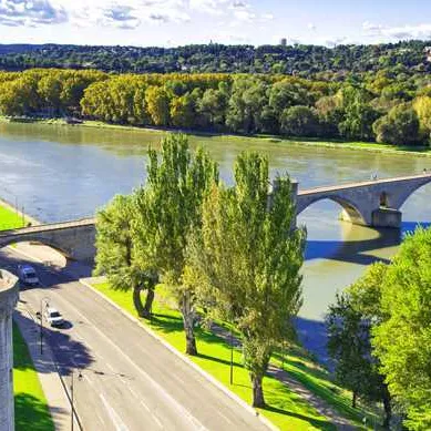 Avignon