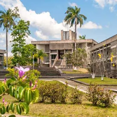 Belize city                   