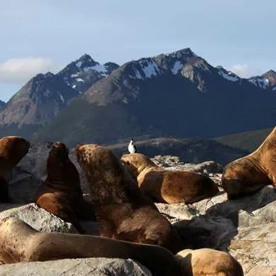 Cap Horn
