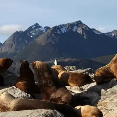 Cape horn, Chili