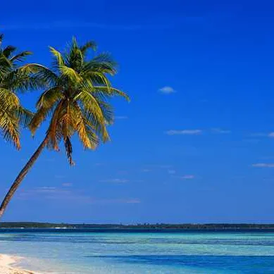 Cococay -  bahamas
