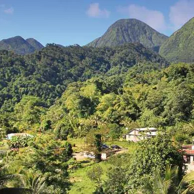 Dominica