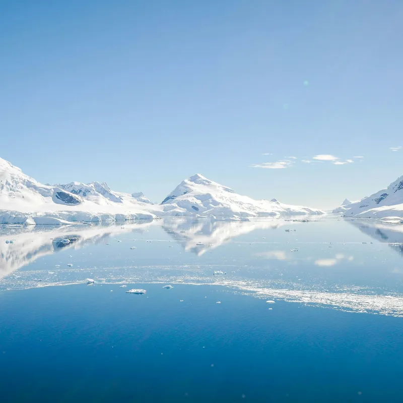 Elephant island/cape island, Antarctica