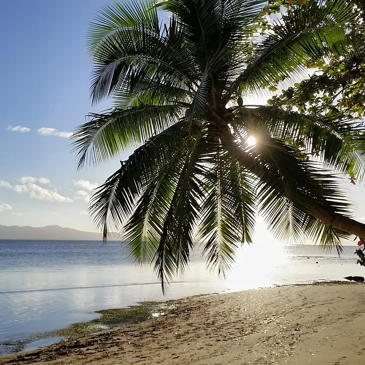 Suva, Fiji islands