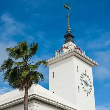 Hamilton bermuda