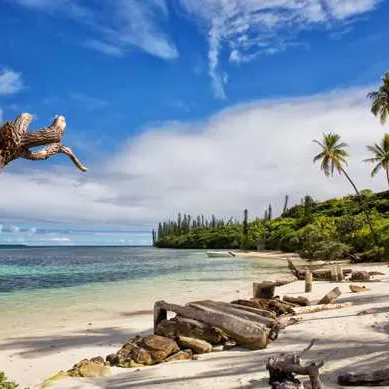 Isle of pines
