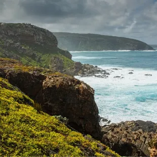 Kangaroo island               