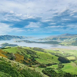 Lyttelton (christchurch)
