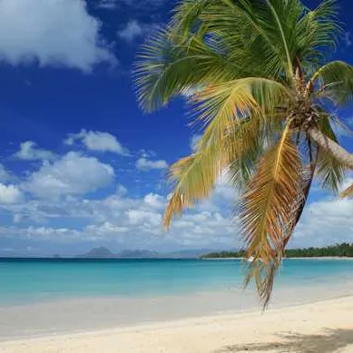 Martinique
