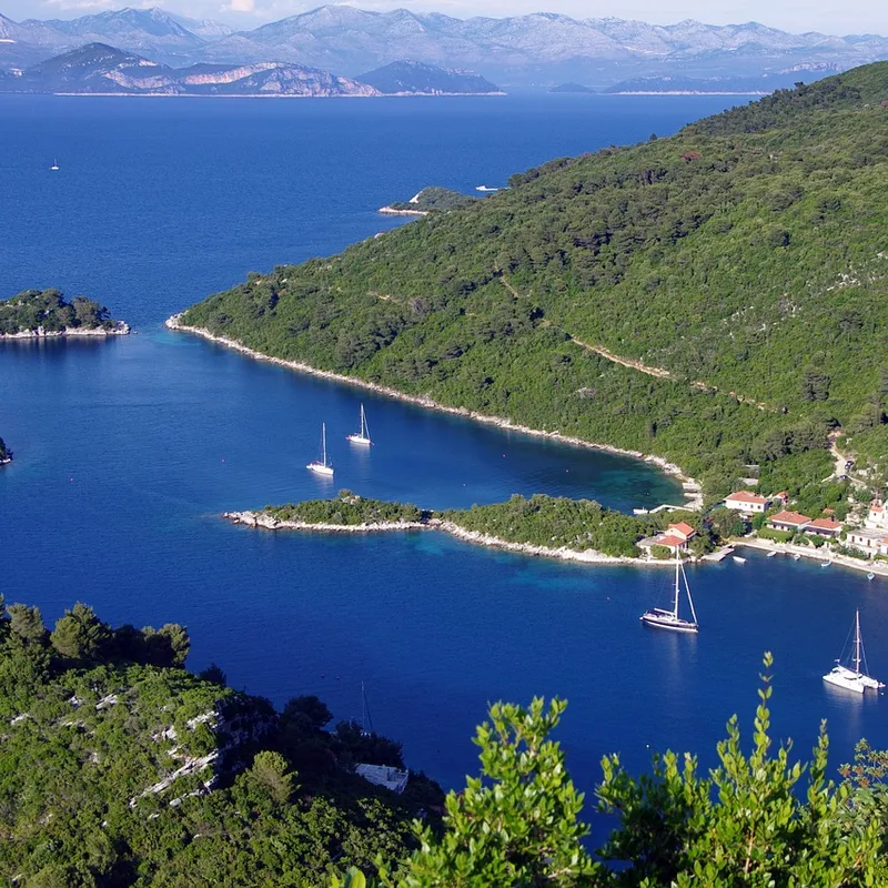 Mljet