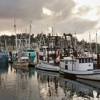 Newport