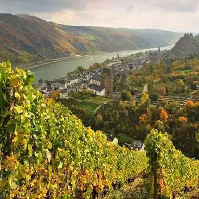 Oberwesel