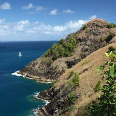 Pigeon island beach