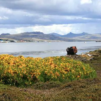 Port stanley, Falkland islands