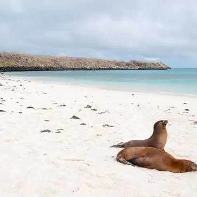 Îles Galápagos
