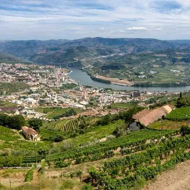Regua (peso da regua)