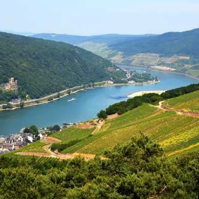 Rudesheim am rhein