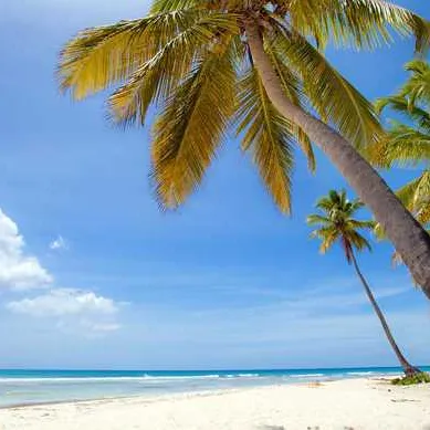Saint domingue (rÉpublique dominicaine)