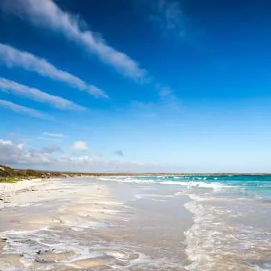 Île Santa Cruz