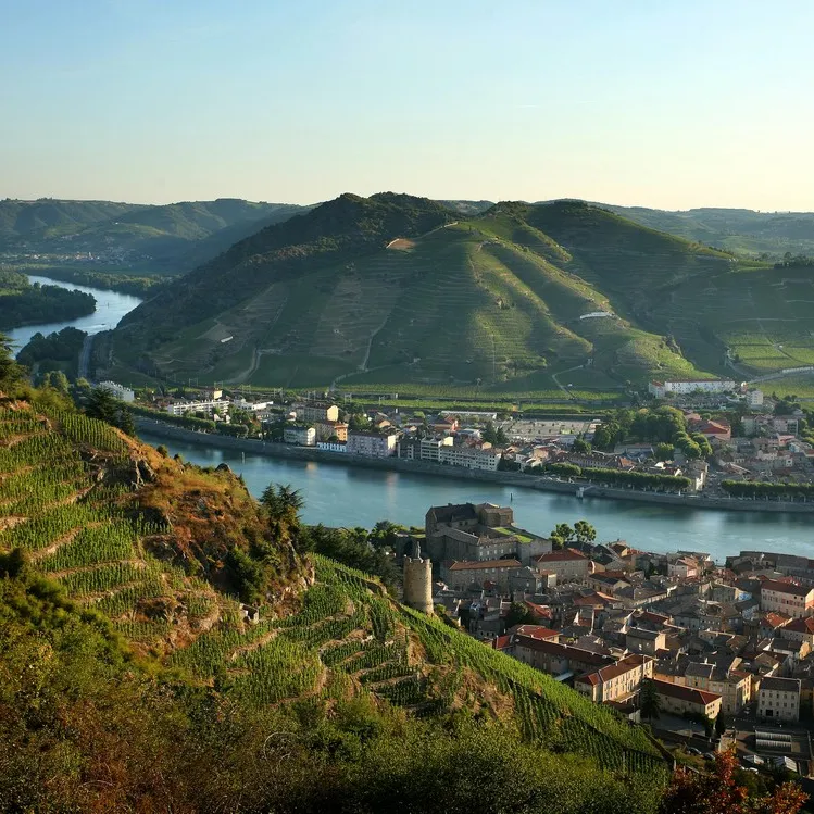 Tain-l"hermitage