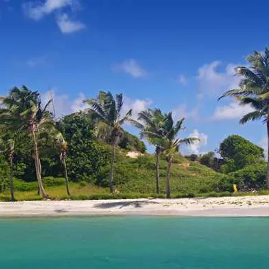 Tobago scarborough (trinitÉ et tobago)