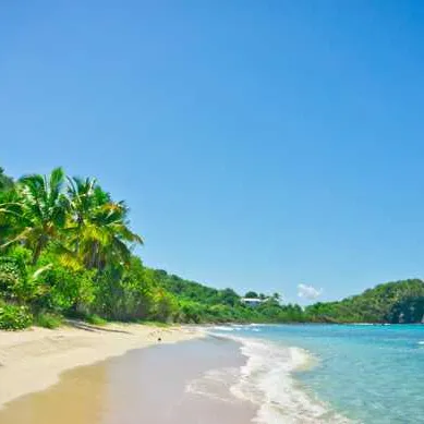 Tortola (iles vierges britanniques)