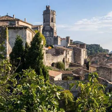 Viviers