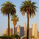 Los angeles                   
