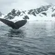 Antarctica peninsula          