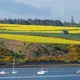 Invergordon, Scotland